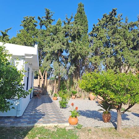 Deja Blue Villa Архангелос Екстериор снимка
